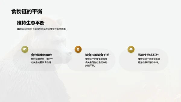 简约风其他行业教学课件PPT模板