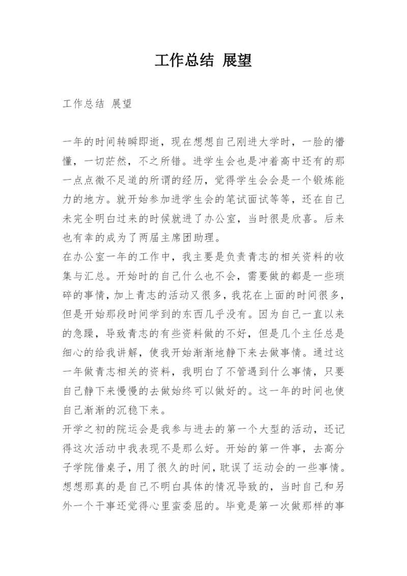 工作总结 展望.docx
