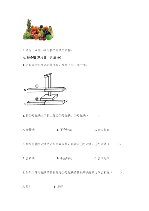 教科版二年级下册科学知识点期末测试卷【典优】.docx