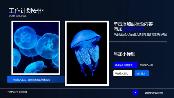 深蓝色自然生物教学通用PPT演示模板