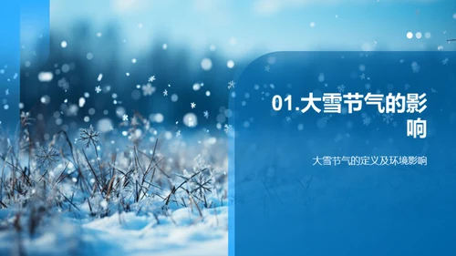 大雪节气与环保