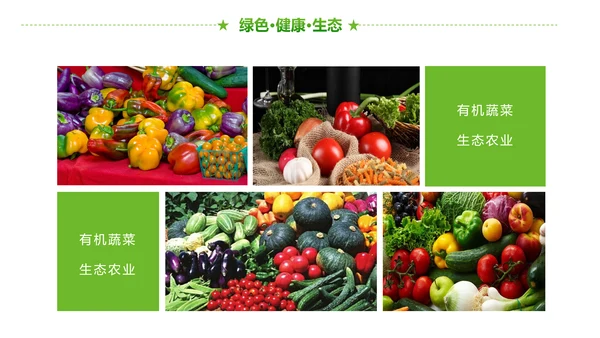 绿色有机生态农业招商农产品展示PPT模板