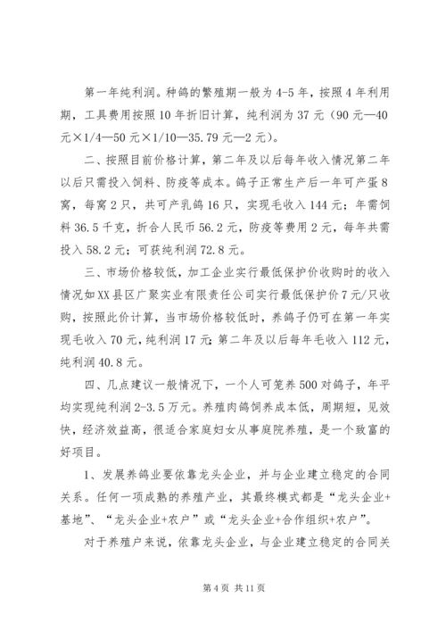 初养肉鸽注意要点.docx