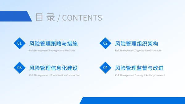 蓝色商务风保险公司风险管理工作规划PPT