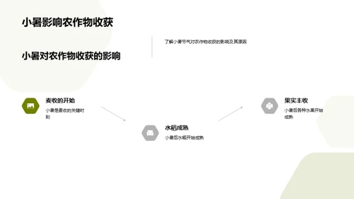 小暑节气与农耕地理