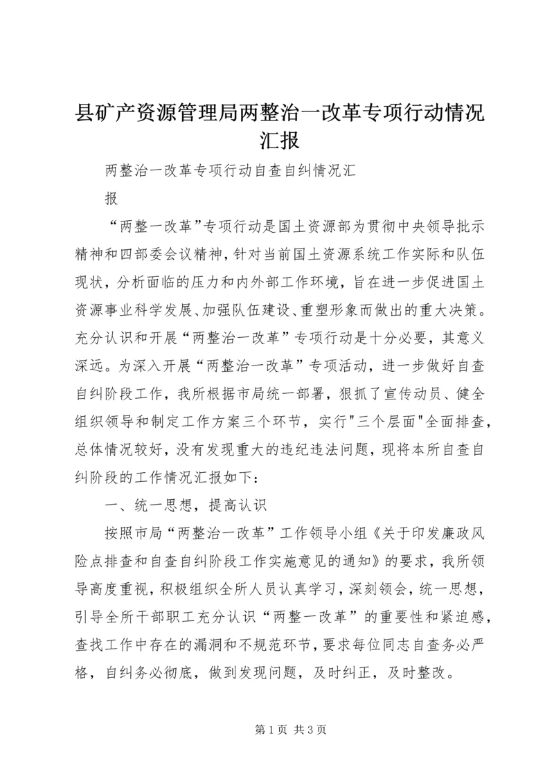 县矿产资源管理局两整治一改革专项行动情况汇报 (3).docx