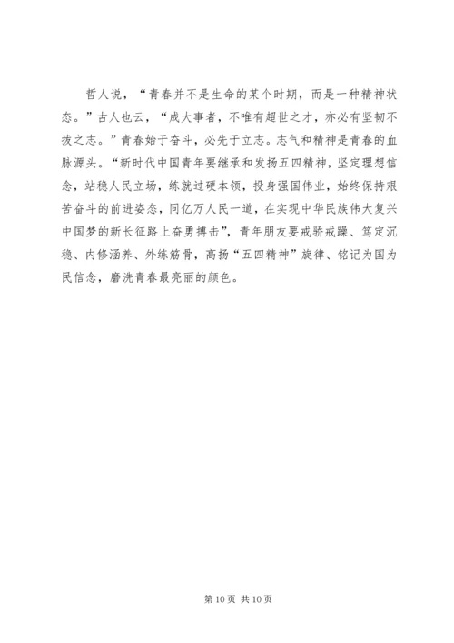弘扬五四精神有感5篇.docx