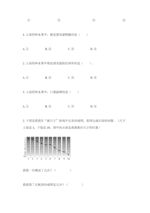 教科版二年级下册科学知识点期末测试卷（考点梳理）.docx