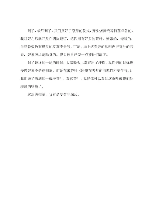 扫墓心得体会5篇600字3篇