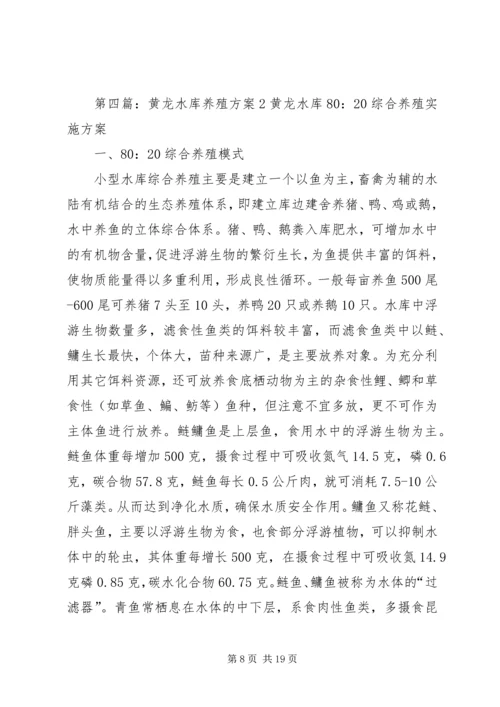 黄龙观活动方案.docx