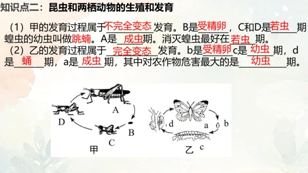 八年级下册第一章综合复习与测试课件(共16张PPT)人教版