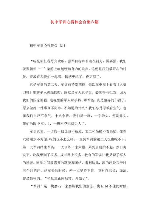 初中军训心得体会合集六篇.docx