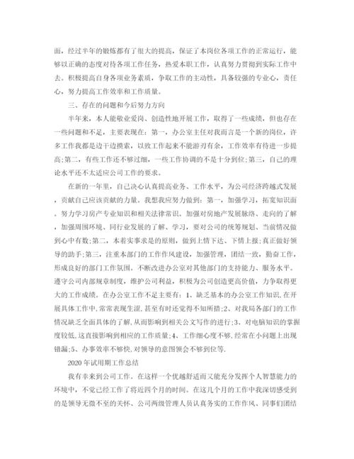 精编之年试用期工作总结范文.docx