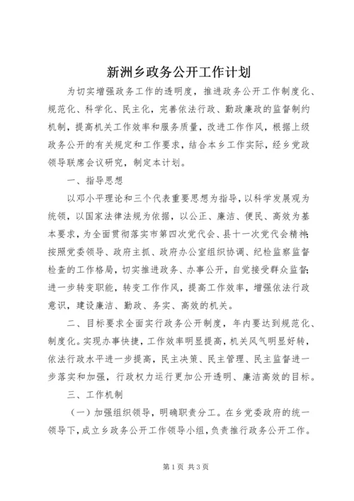 新洲乡政务公开工作计划.docx