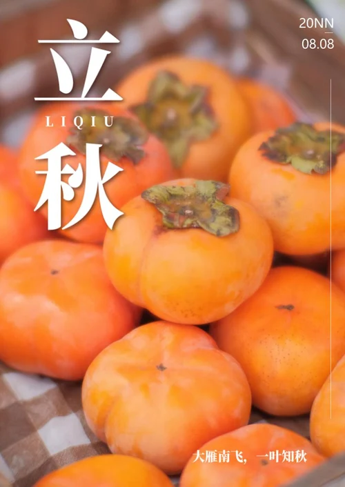 橙色实景二十四节气之立秋海报word模板