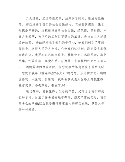 劳动心得体会论文800字左右.docx