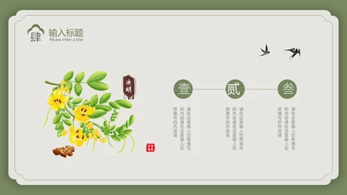 绿色复古风中国风中医PPT模板