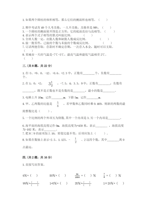 河南省平顶山市六年级下册数学期末测试卷含答案（最新）.docx