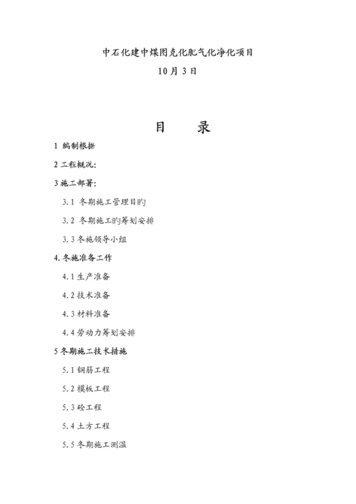 气净化专项项目冬季综合施工专题方案介绍.docx