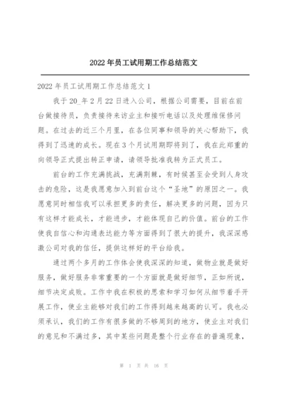 2022年员工试用期工作总结范文.docx