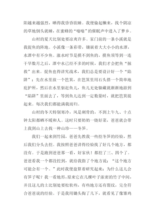 我的乐园作文-6.docx