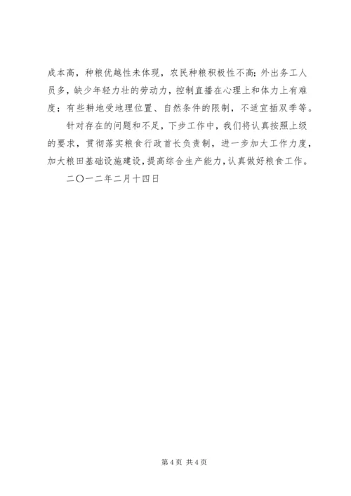 乡镇粮食行政首长负责制自评报告.docx