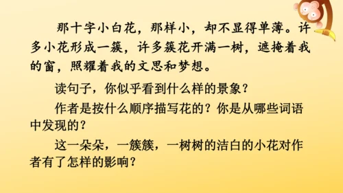 2 丁香结  课件