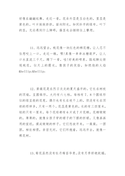 描写鲜花优美的句子.docx