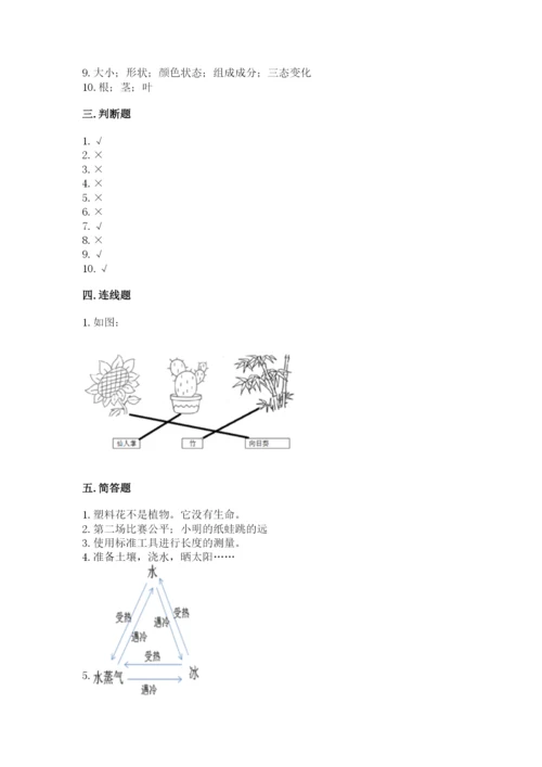 教科版一年级上册科学期末测试卷精品（巩固）.docx