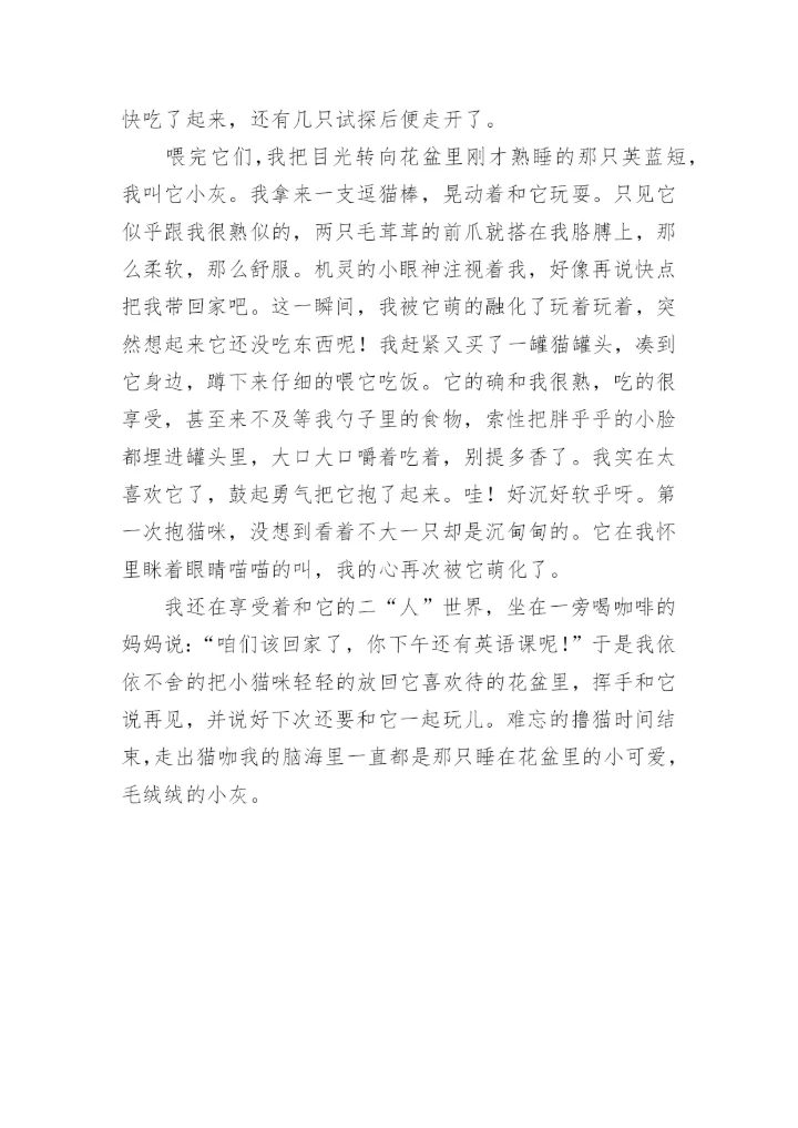 撸猫作文800字.docx