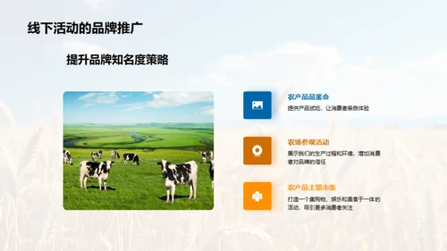 农业市场创新策略