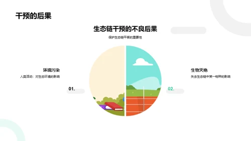 生态链探秘之旅