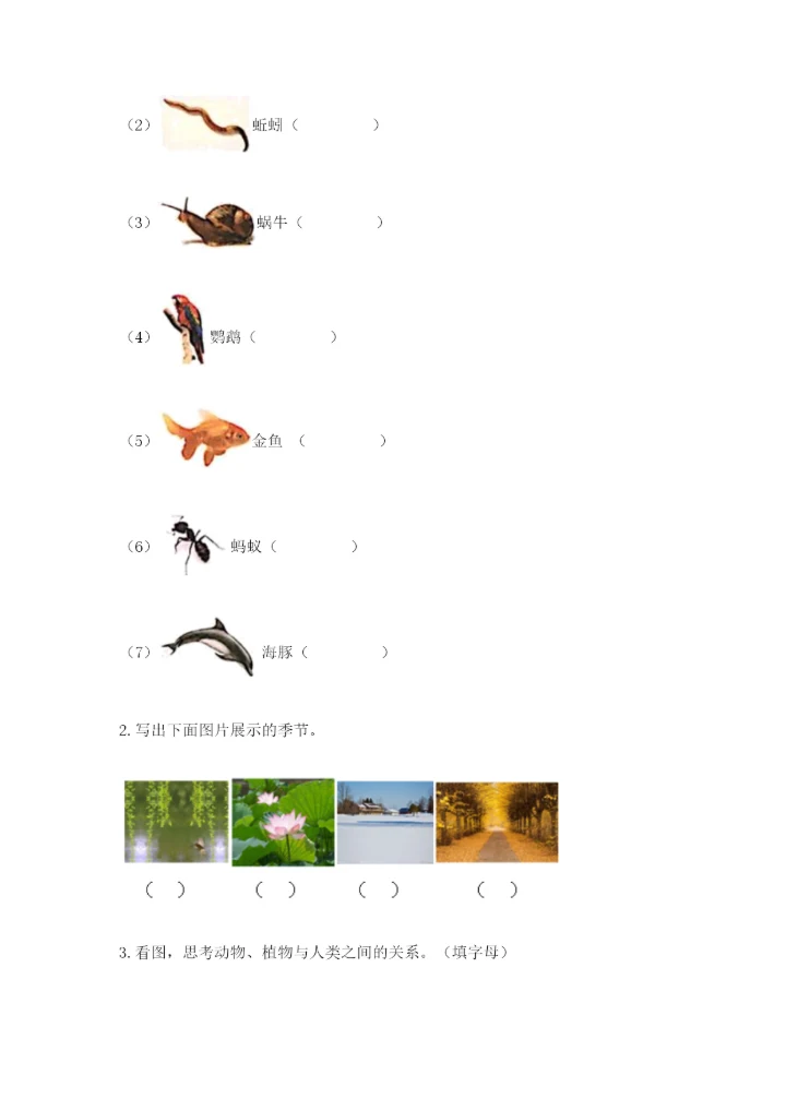 教科版小学二年级上册科学期末测试卷含答案.docx