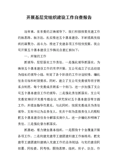 开展基层党组织建设工作自查报告