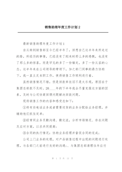 销售助理年度工作计划2.docx