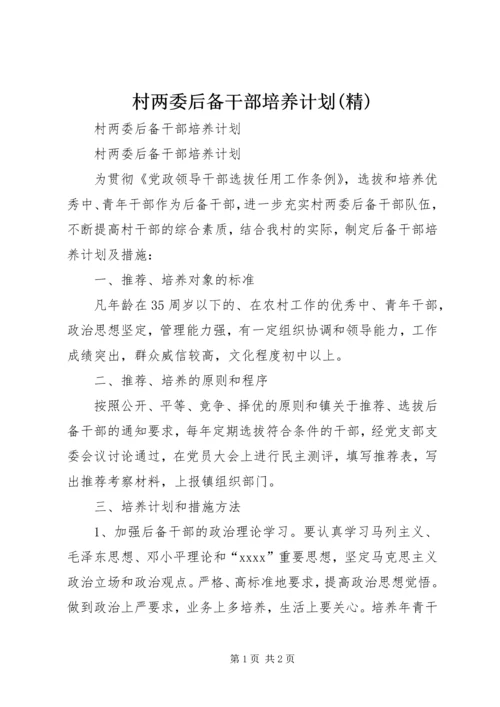 村两委后备干部培养计划(精).docx