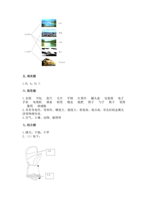 教科版科学二年级上册《期末测试卷》及下载答案.docx