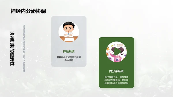 人体系统协作讲座PPT模板
