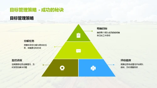 团队绩效与未来规划