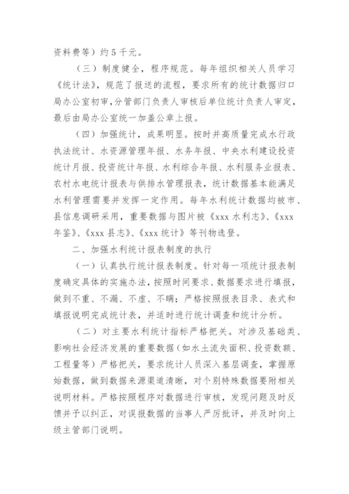 水利统计自查报告.docx