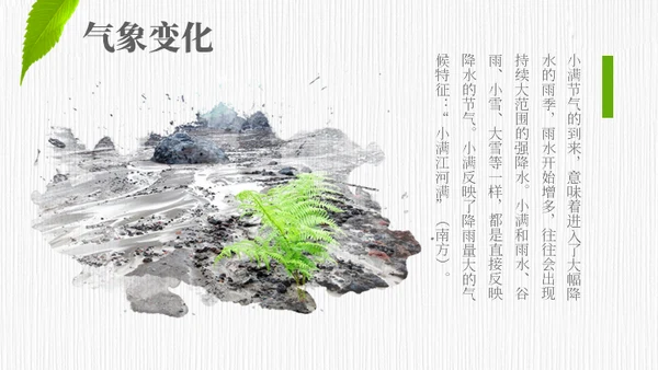 小满——禾苗青苗稻谷嫩芽通用PPT模板