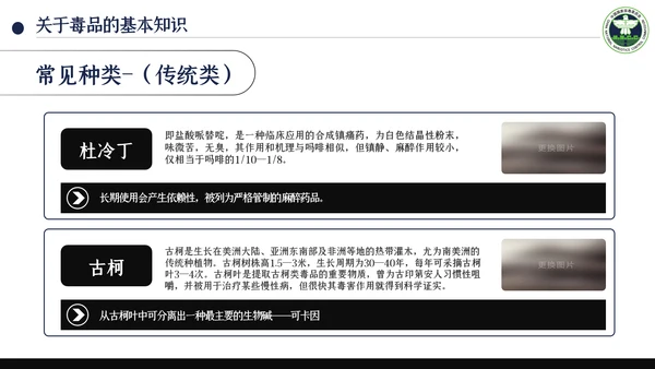国际禁毒日珍爱生命远离禁毒教育知识PPT模板