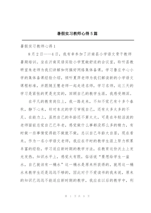 暑假实习教师心得5篇.docx