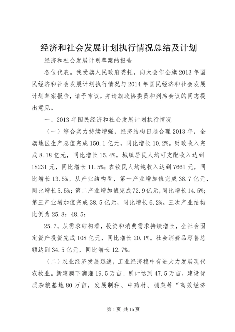 经济和社会发展计划执行情况总结及计划.docx