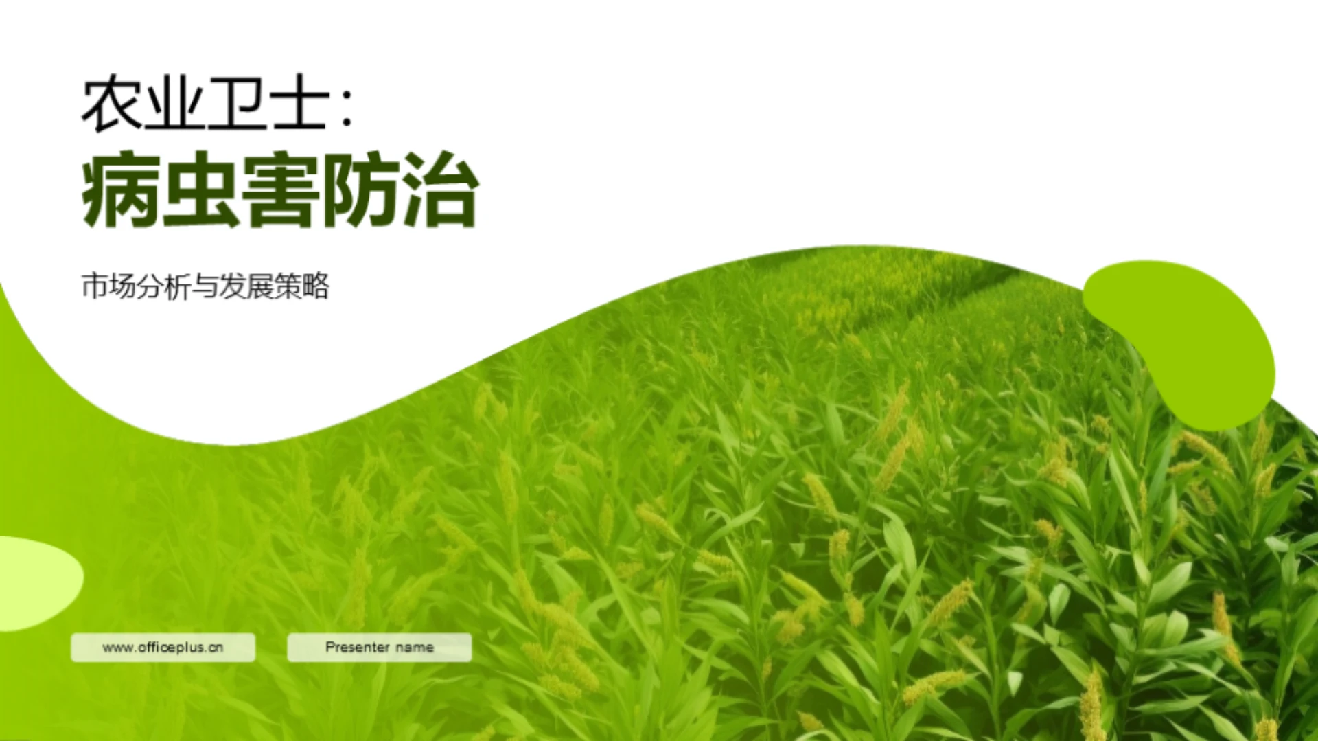 农业卫士:病虫害防治