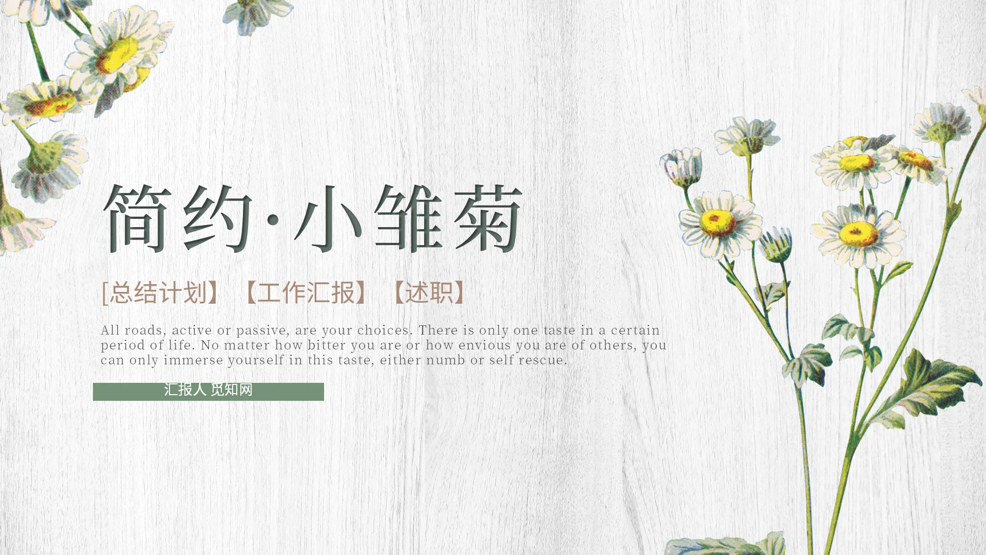 小清新唯美简约通用小雏菊汇报总结课件PPT模板