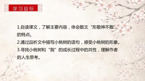第19课 一棵小桃树 课件(共24张PPT)