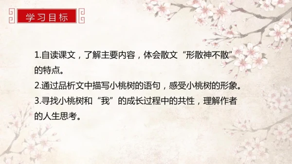第19课 一棵小桃树 课件(共24张PPT)