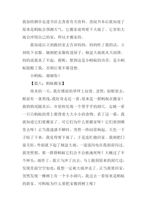 蚂蚁搬家作文.docx