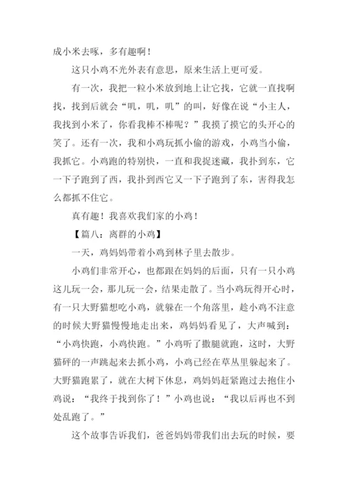 小鸡作文300字0.docx